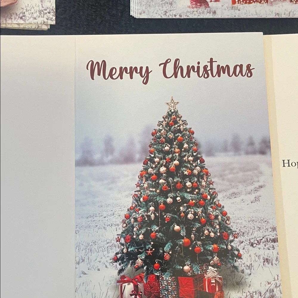 Holiday Greeting Cards Set of 24 nwt in box 4 designs